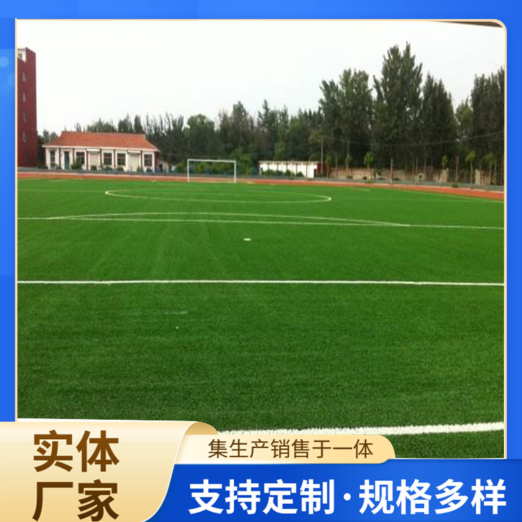 自贡市塑胶跑道材料人造草坪 - 厂家